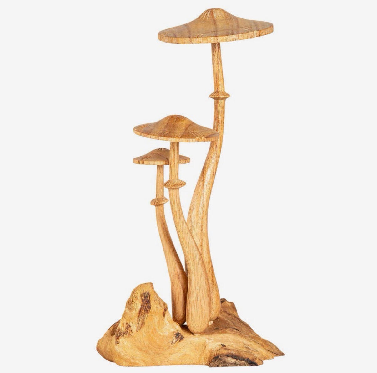 Triple Mushroom