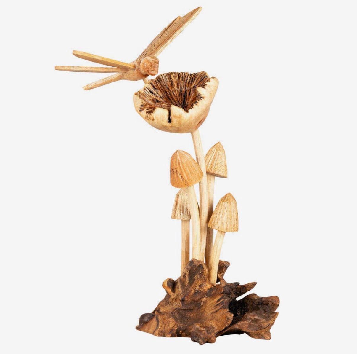 Mushrooms with Dragonfly